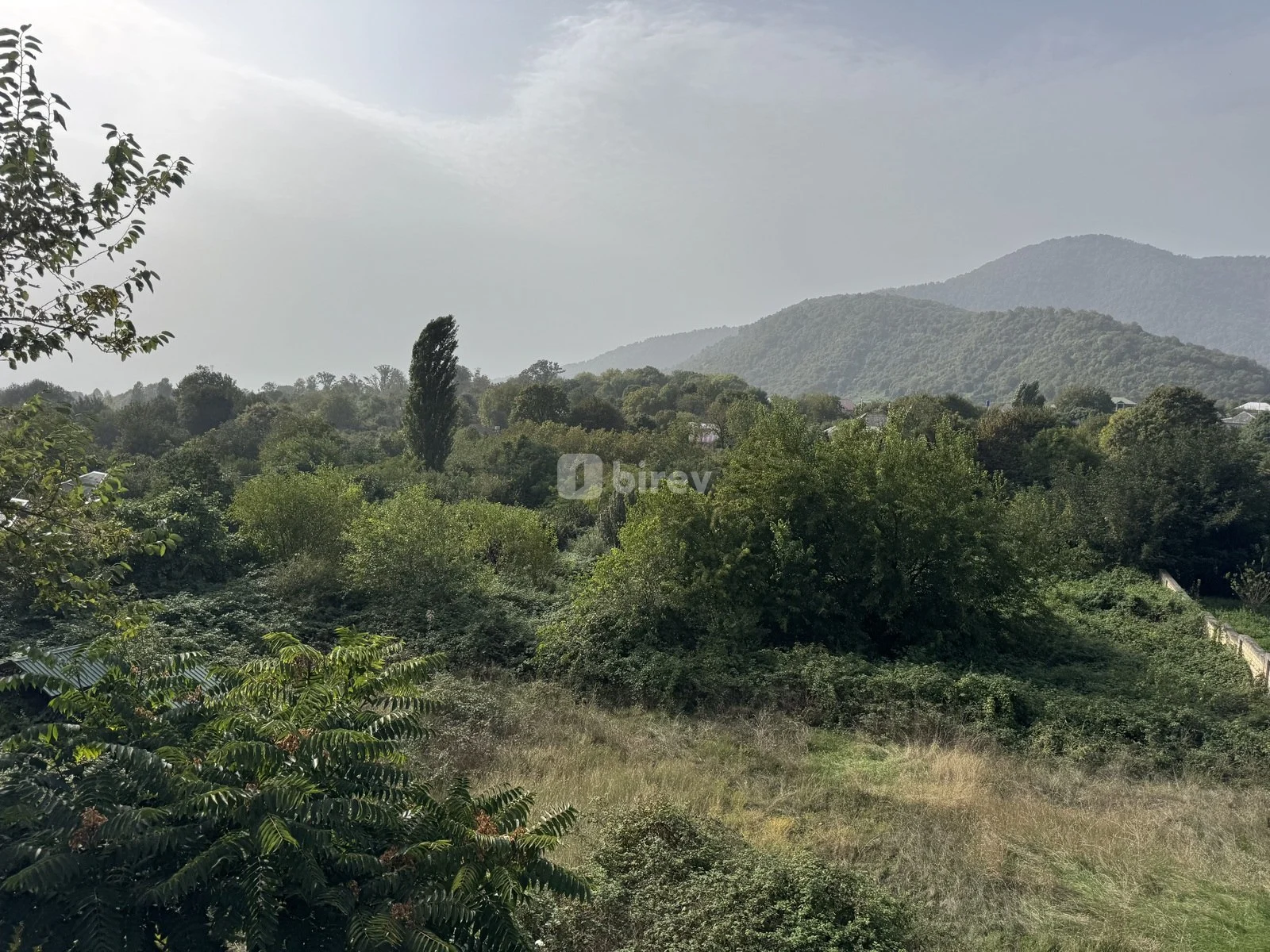32 sot torpaq, Car, Zaqatala rayonu,Car kendi, Zaqatala rayonu — şəkil 9