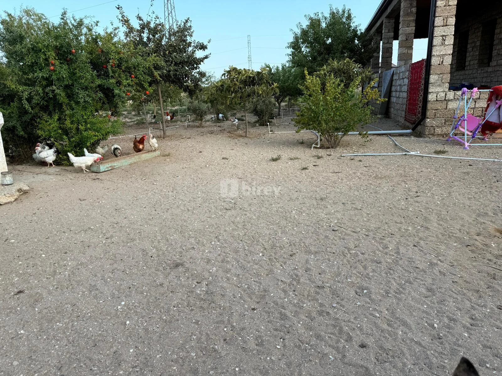 5 otaqlı həyət evi, Qala q., Qala qəsəbəsi Xaşa-xuna bağları, Xəzər rayonu — şəkil 16