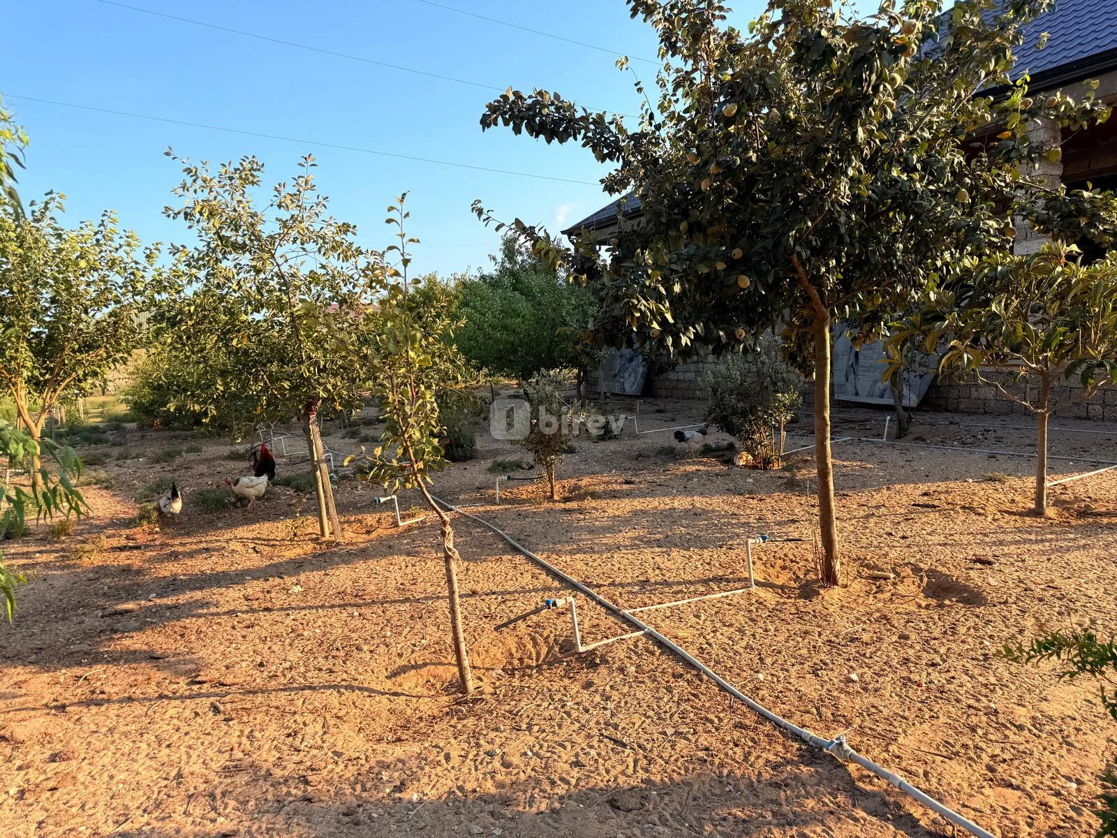 5 otaqlı həyət evi, Qala q., Qala qəsəbəsi Xaşa-xuna bağları, Xəzər rayonu — şəkil 17