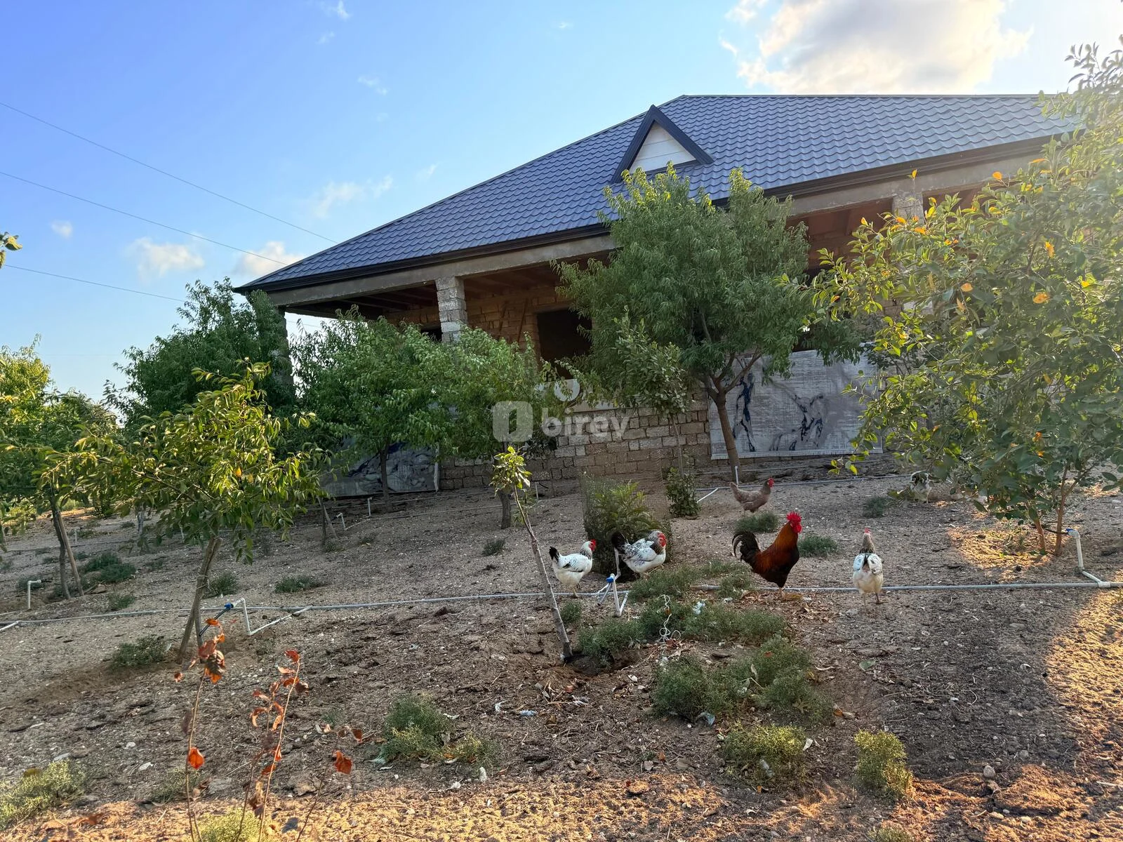 5 otaqlı həyət evi, Qala q., Qala qəsəbəsi Xaşa-xuna bağları, Xəzər rayonu — şəkil 19