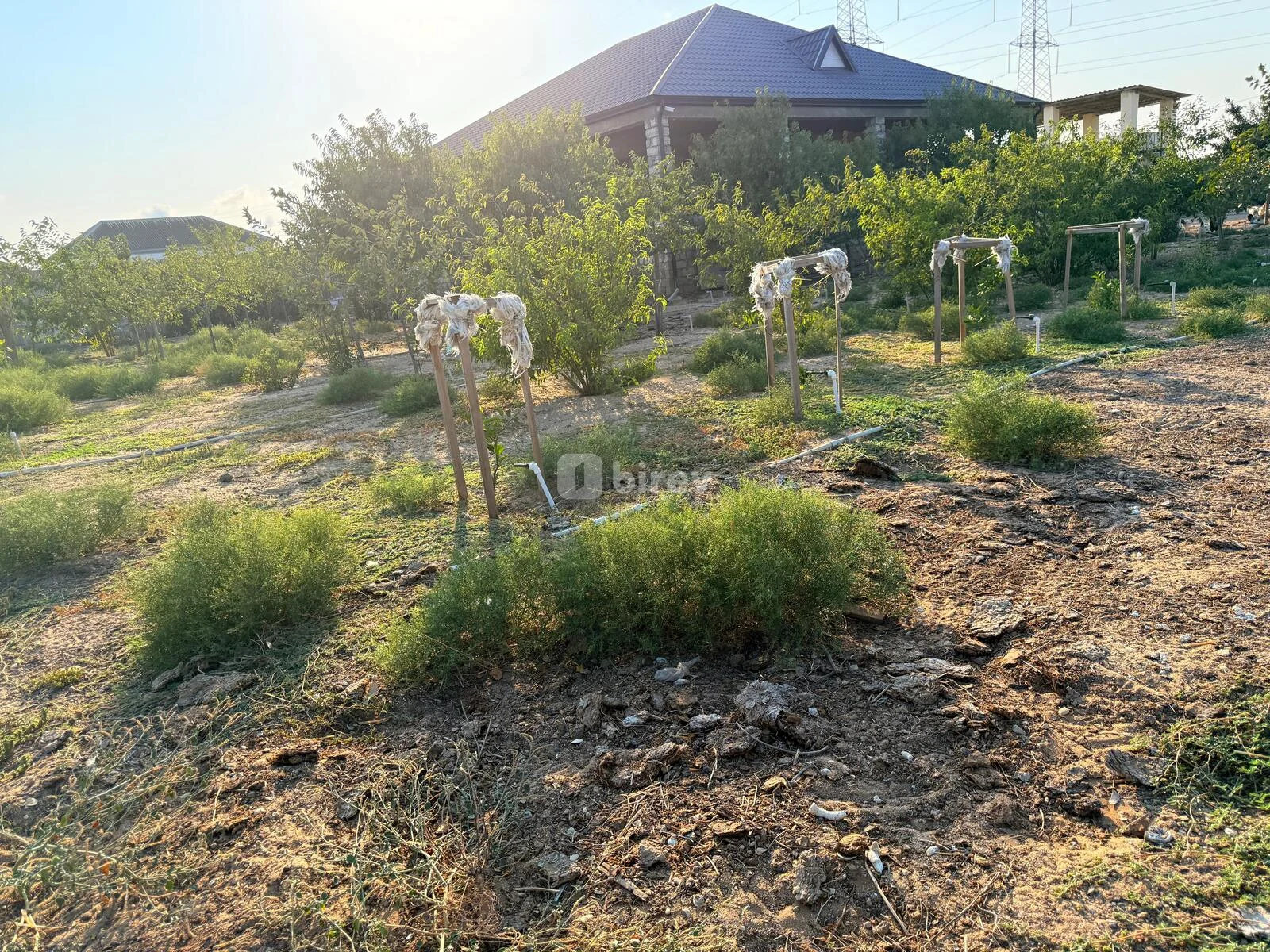 5 otaqlı həyət evi, Qala q., Qala qəsəbəsi Xaşa-xuna bağları, Xəzər rayonu — şəkil 20