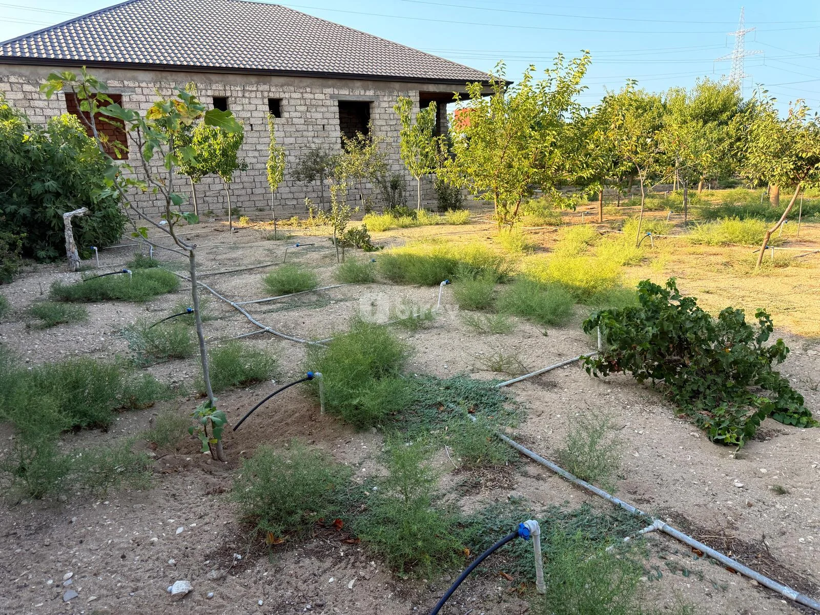 5 otaqlı həyət evi, Qala q., Qala qəsəbəsi Xaşa-xuna bağları, Xəzər rayonu — şəkil 22