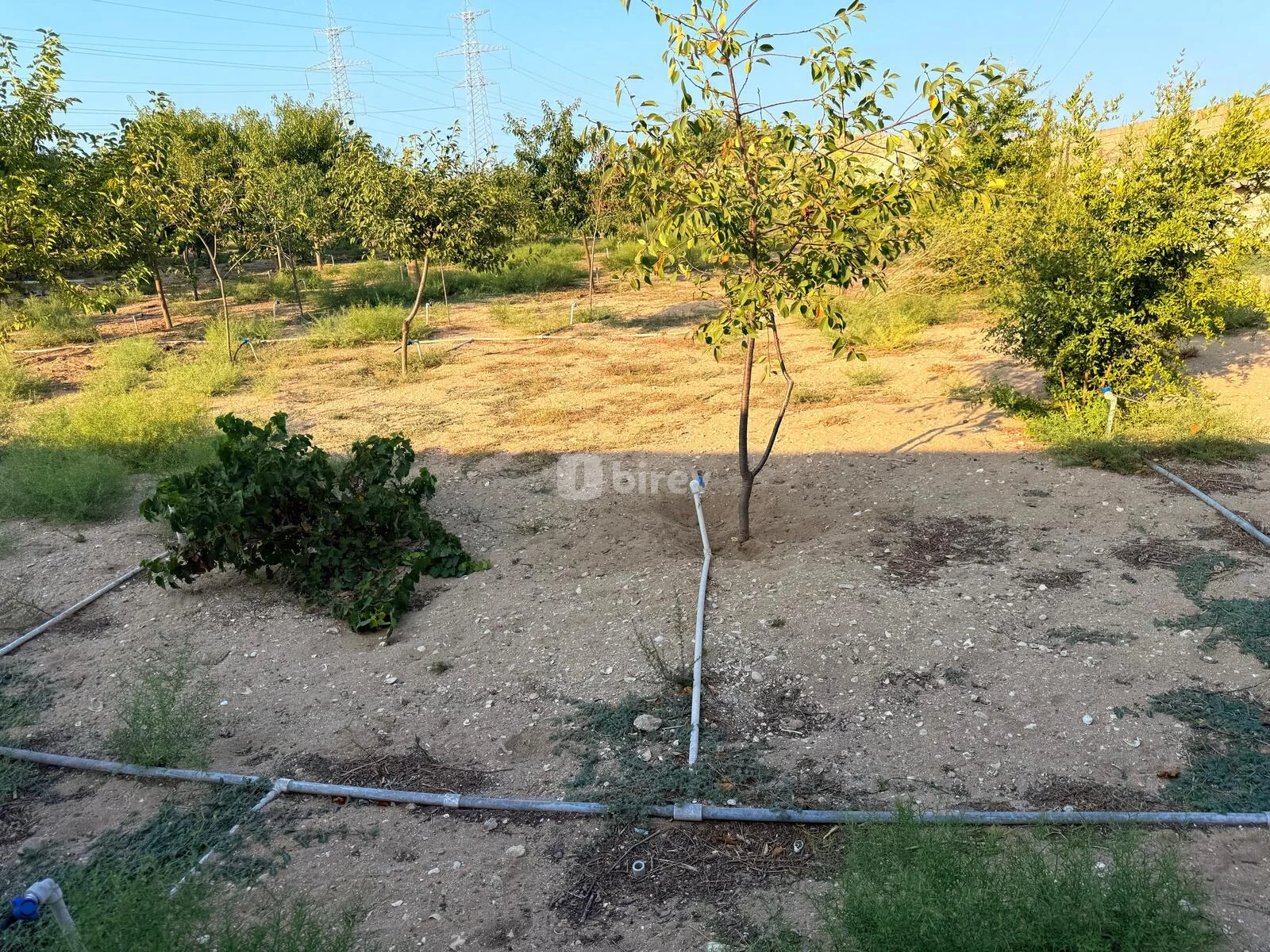 5 otaqlı həyət evi, Qala q., Qala qəsəbəsi Xaşa-xuna bağları, Xəzər rayonu — şəkil 23