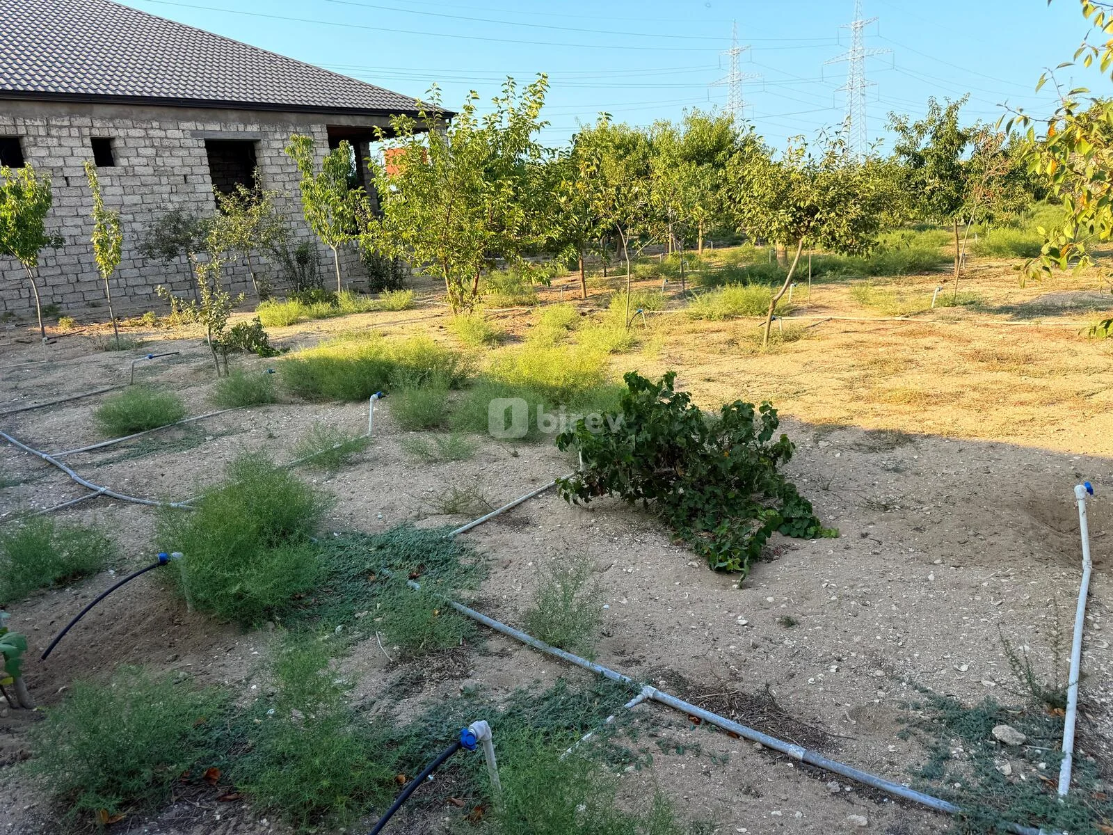 5 otaqlı həyət evi, Qala q., Qala qəsəbəsi Xaşa-xuna bağları, Xəzər rayonu — şəkil 24