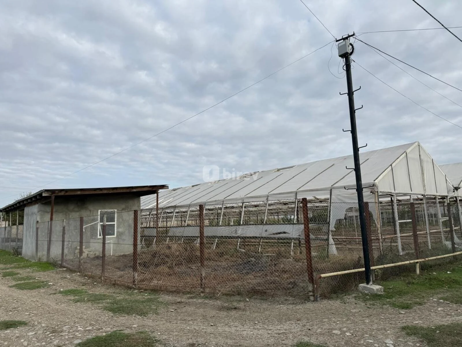2000 sot torpaq, Muradxan, Muradxan kendi., Kürdəmir rayonu — şəkil 10