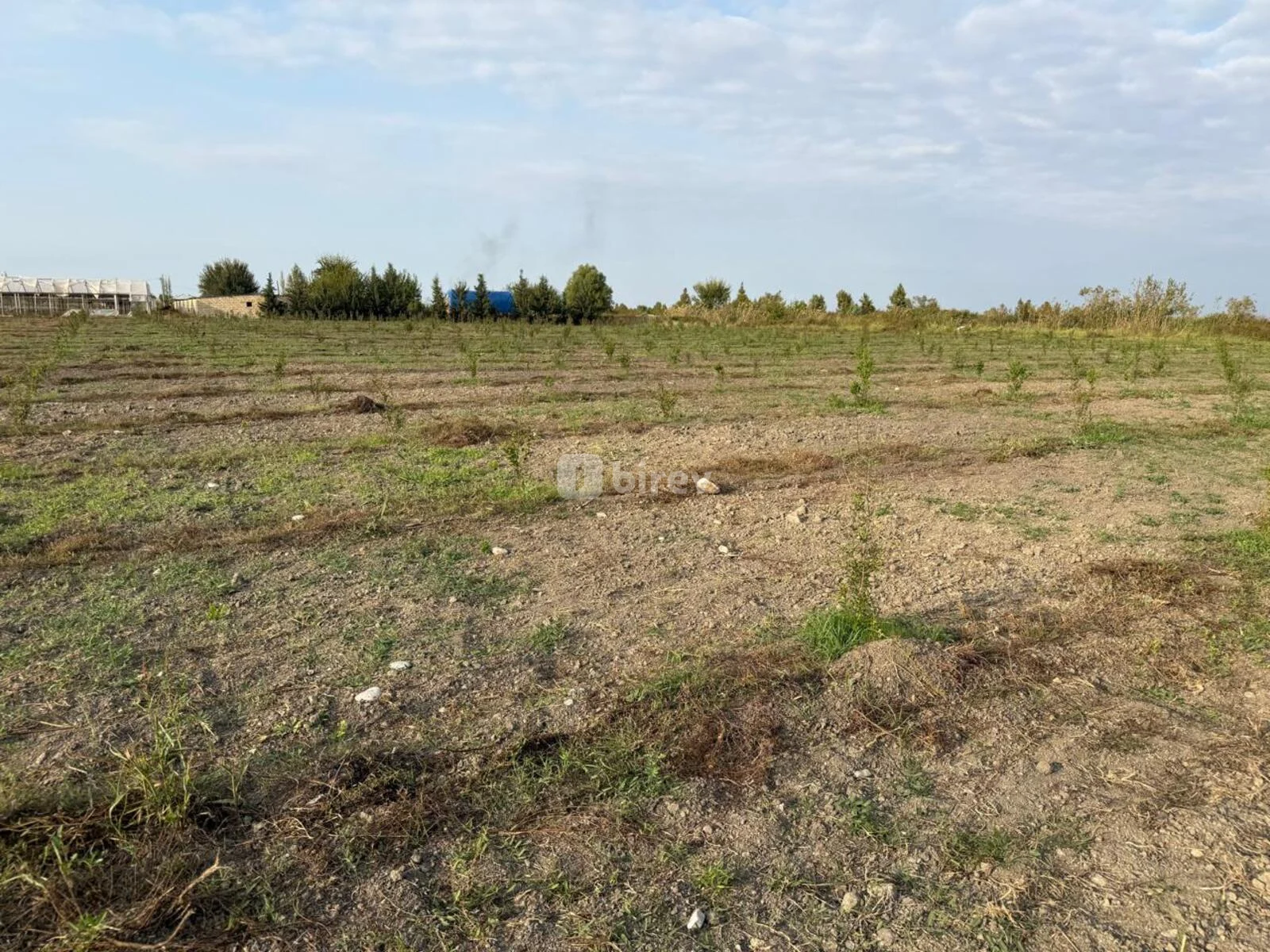 2000 sot torpaq, Muradxan, Muradxan kendi., Kürdəmir rayonu — şəkil 21