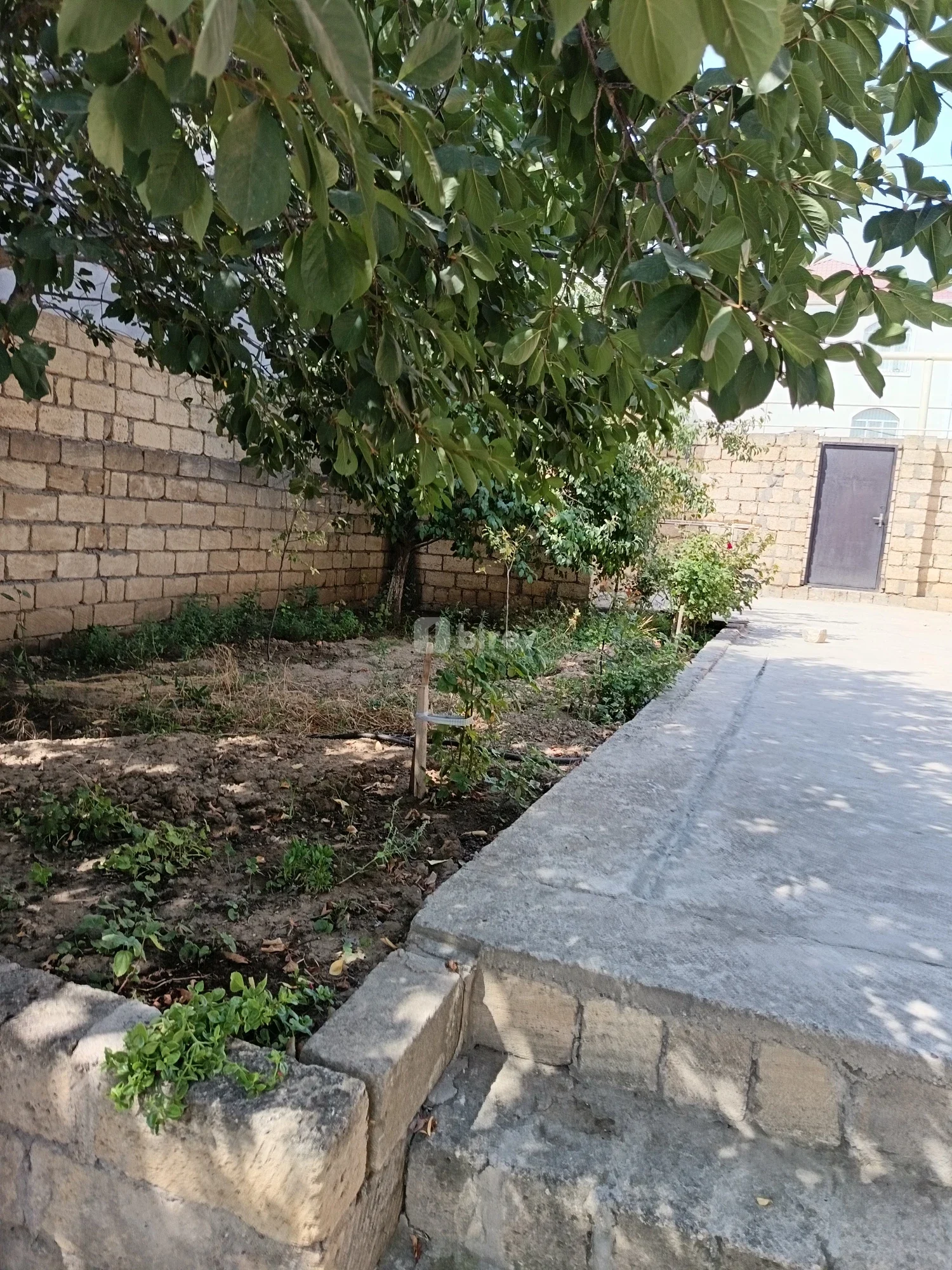 5 otaqlı həyət evi, Masazır q., Masazır Cantəpə, Abşeron rayonu — şəkil 2