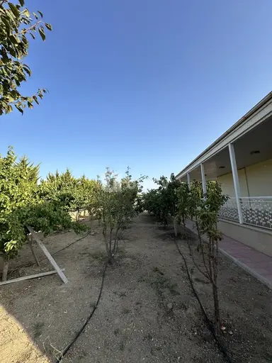 12 sot torpaq, Şüvəlan q.