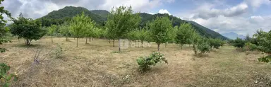 36 sot torpaq, İsmayıllı rayonu, İsmayıllı r.