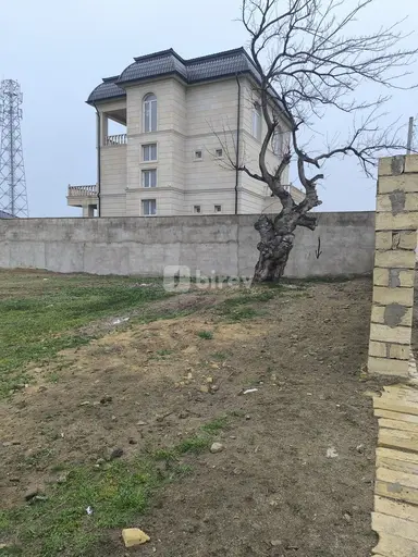 5.8 sot torpaq, Novxanı q.