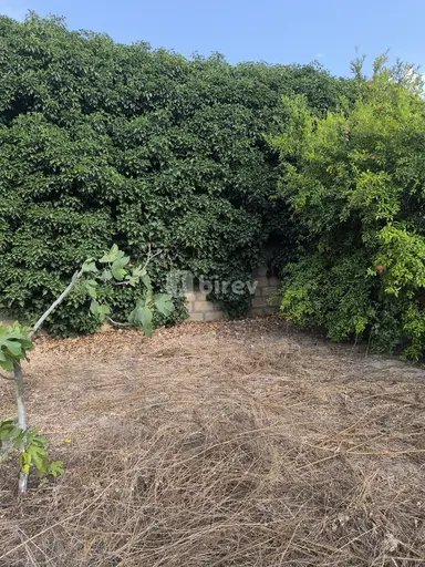 3 sot torpaq, Novxanı q.