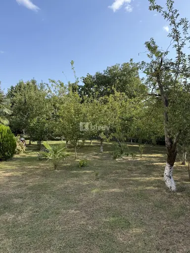 8 sot torpaq, İsmayıllı rayonu, İsmayıllı r.