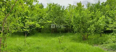 19 sot torpaq, Ağdaş rayonu, Ağdaş r.