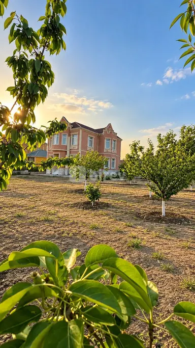 7 otaqlı həyət evi, Saray q.