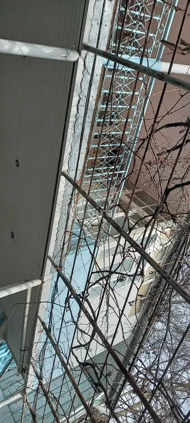 5 otaqlı həyət evi, Şamaxı rayonu, Şamaxı r.