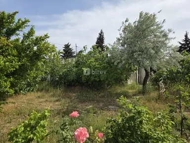 6.4 sot torpaq, Albalılıq q.