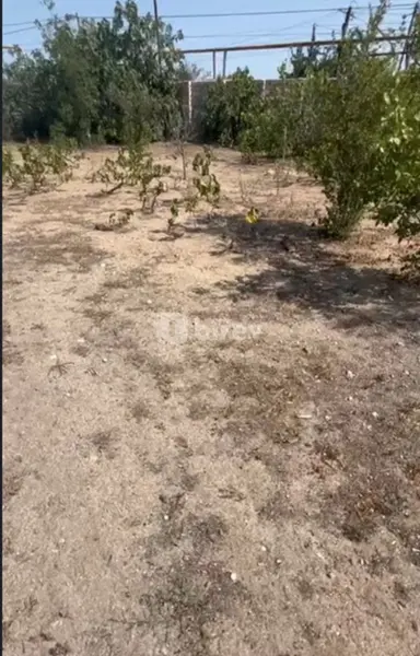 12 sot torpaq, Albalılıq q.