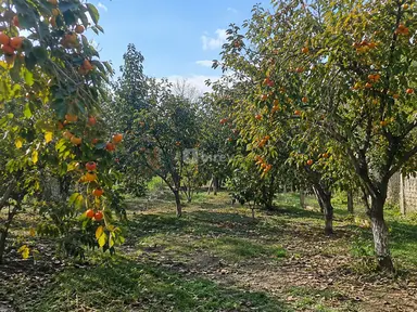 Участок 12 соток, Гёйчайский район, Гёйчайский р-н
