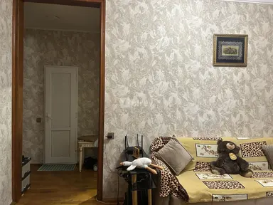 Otaq yoldaşı — Səriyyə