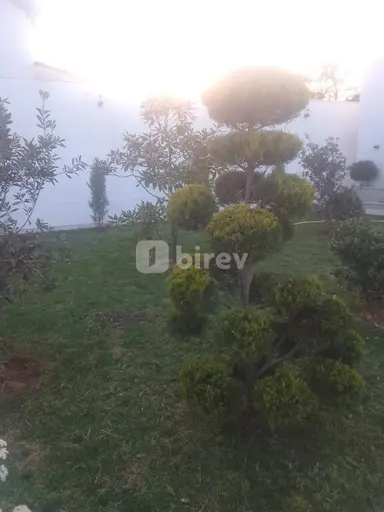 Садовник — пример работы 15