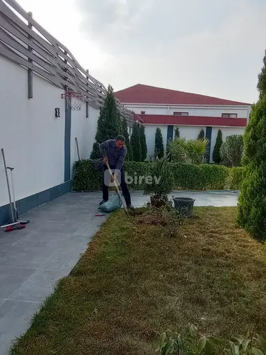 Садовник — пример работы 6
