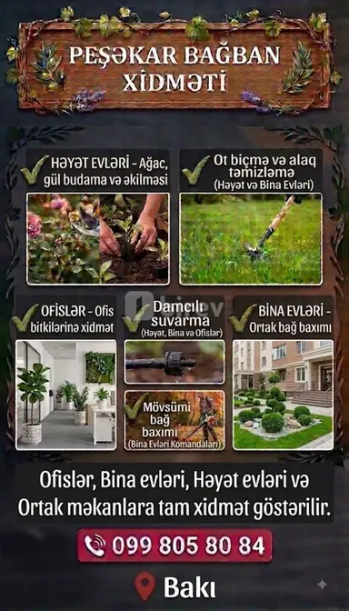 Bağban — iş nümunəsi 1