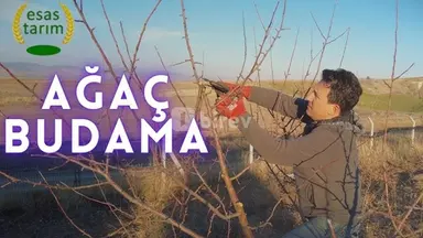 Bağban — iş nümunəsi 1