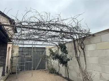 Bağban — iş nümunəsi 3